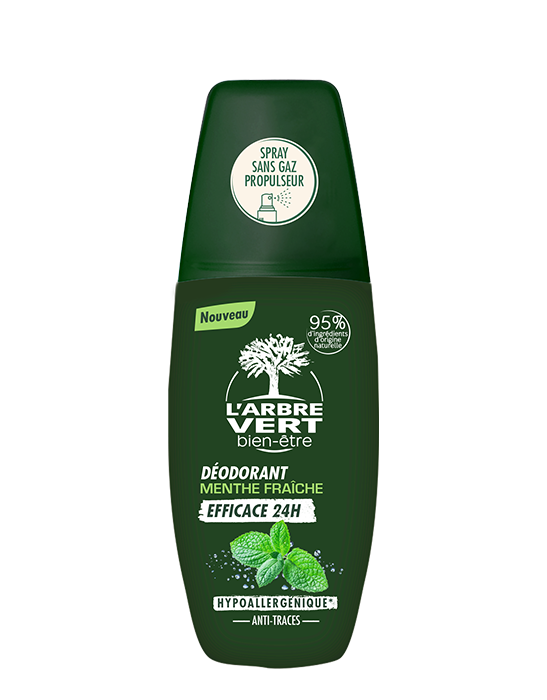 Déodorant spray Menthe fraîche 12 x 75 ml