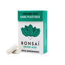 Gomme menthe Verte 20 x 21 gr