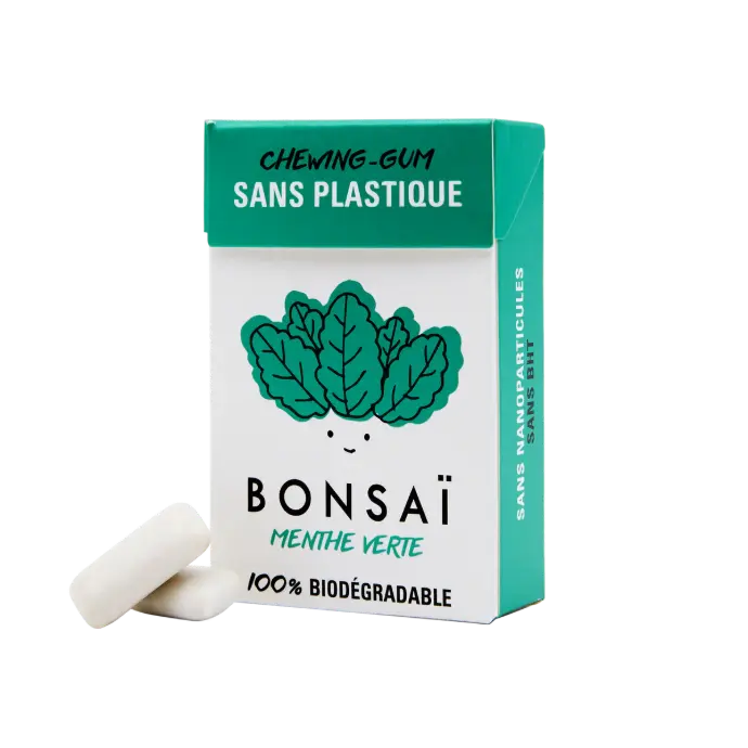 Gomme menthe Verte 20 x 21 gr