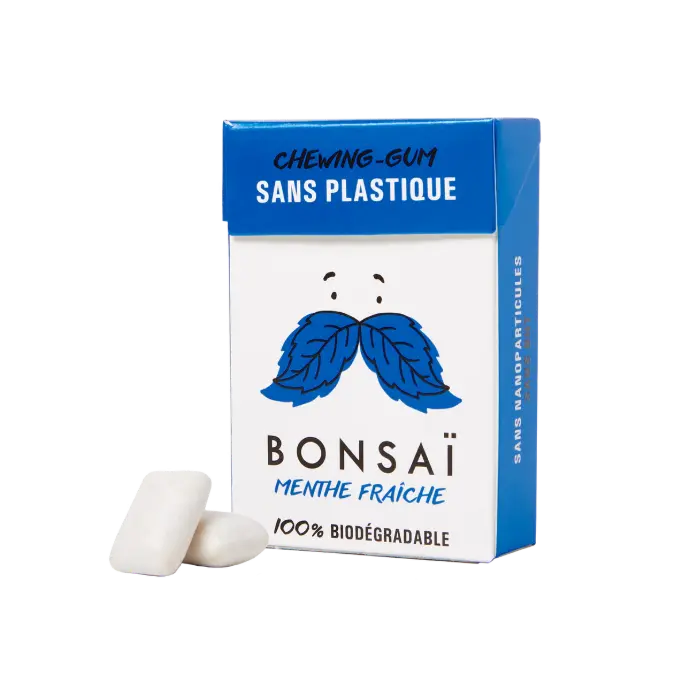 Gomme menthe forte 20 x 21 gr