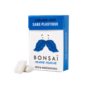 Gomme menthe forte 20 x 21 gr