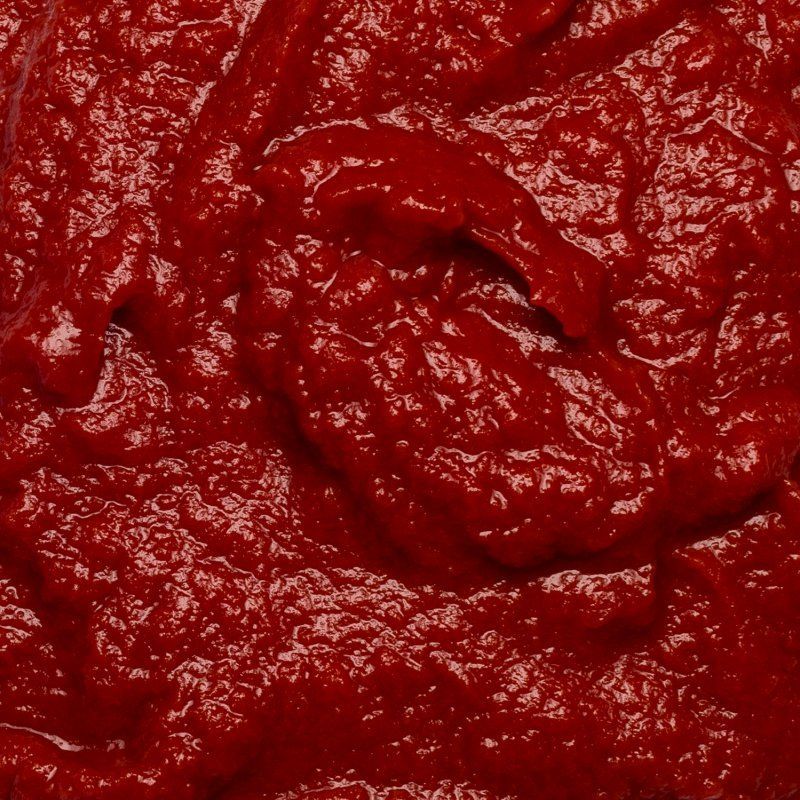 Concentré tomates 22% BIO 6 x 890 gr