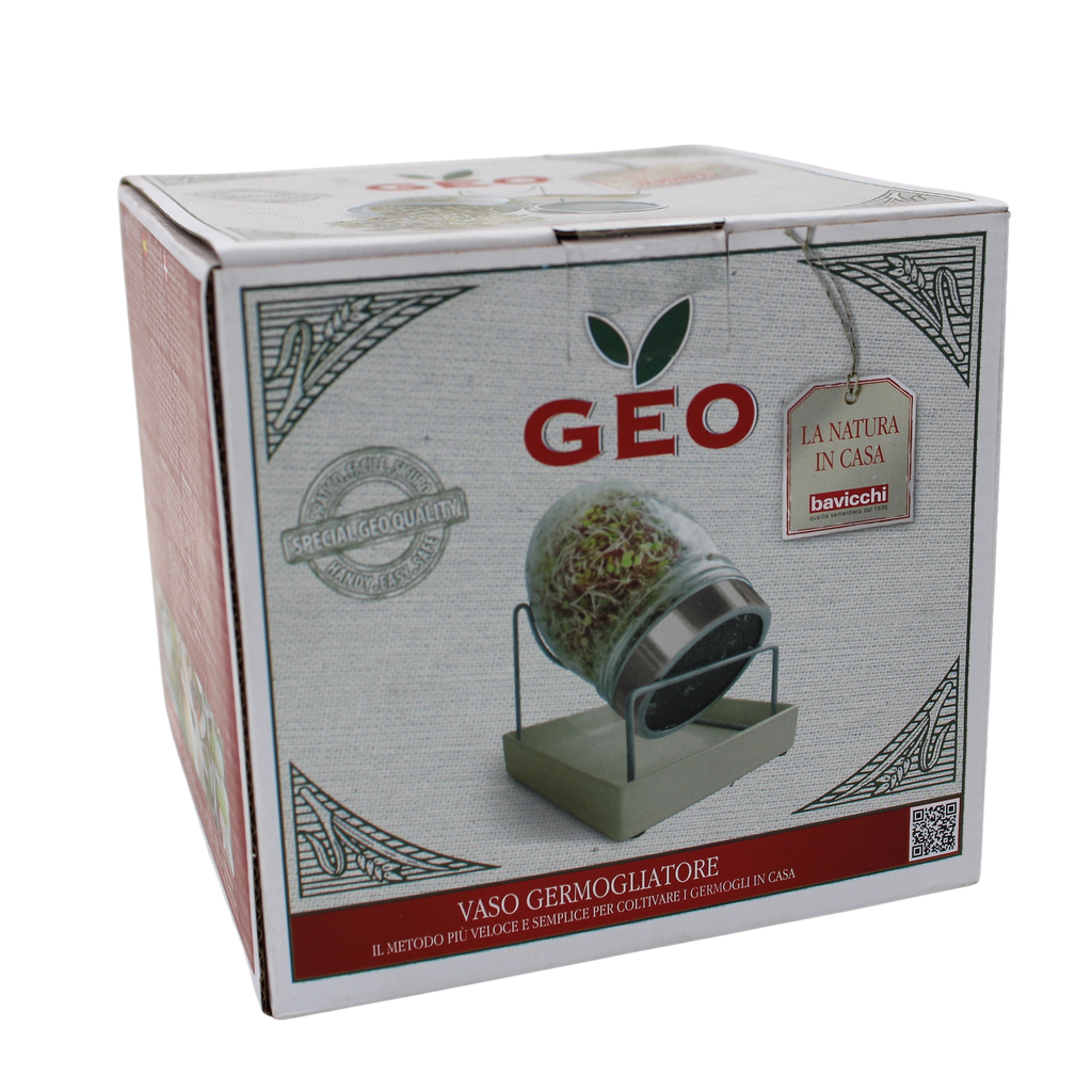 Bocal verre Présentoir - GEO 6 x