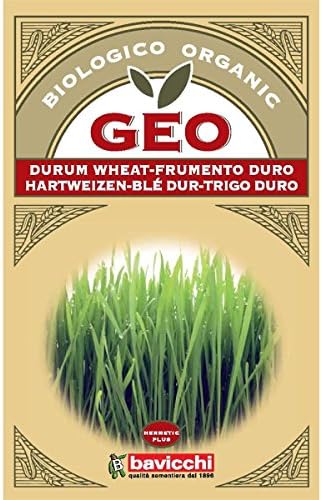 Kit Geograss blé dur à germer BIO 15 x 80 gr
