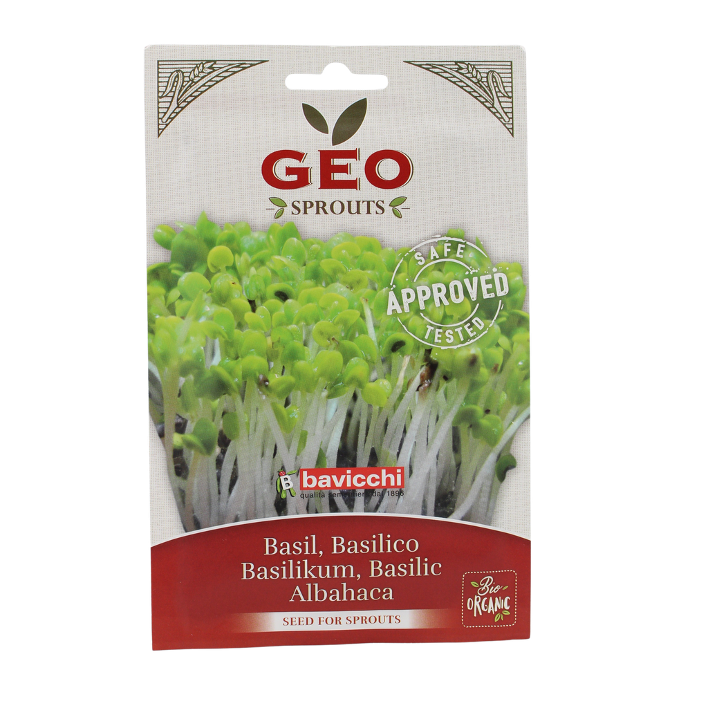 Basilic à germer BIO 15 x 5 gr
