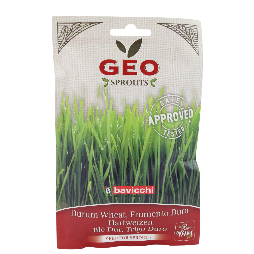 Blé à germer BIO 15 x 80 gr