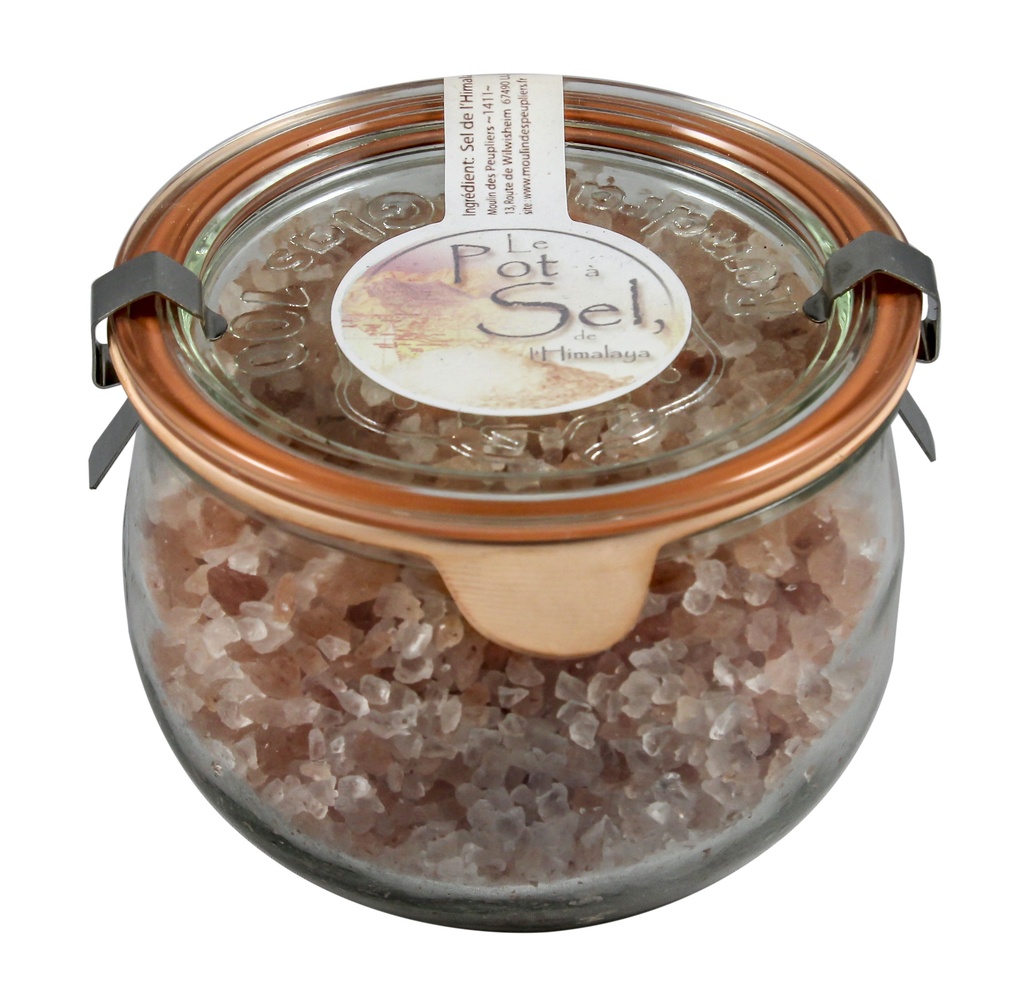 Sel de l'Himalaya 6 x 580 gr
