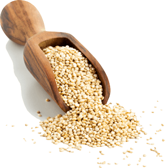 Quinoa BIO 3kg