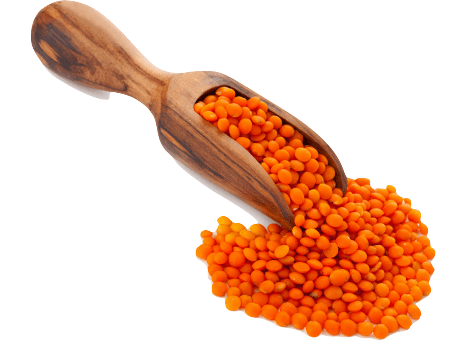 Lentilles corail BIO 3kg