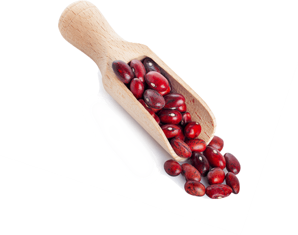 Haricots rouges BIO 3kg