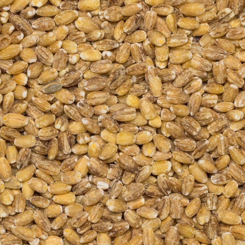 Orge perlé BIO 25kg