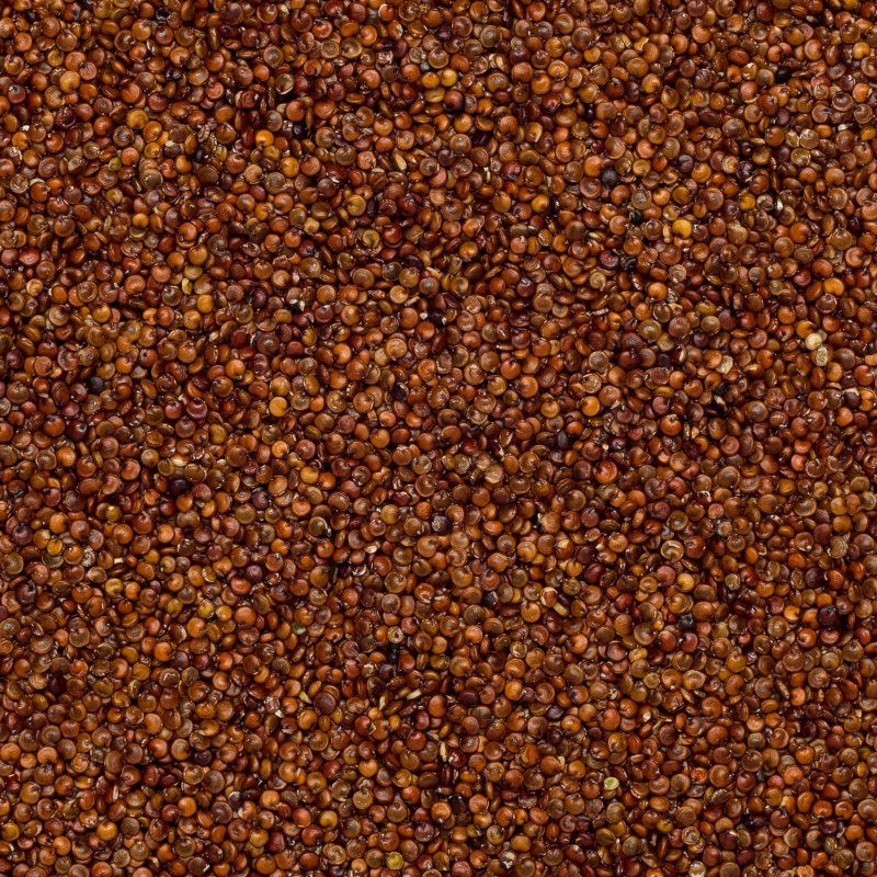 Quinoa rouge BIO 25kg