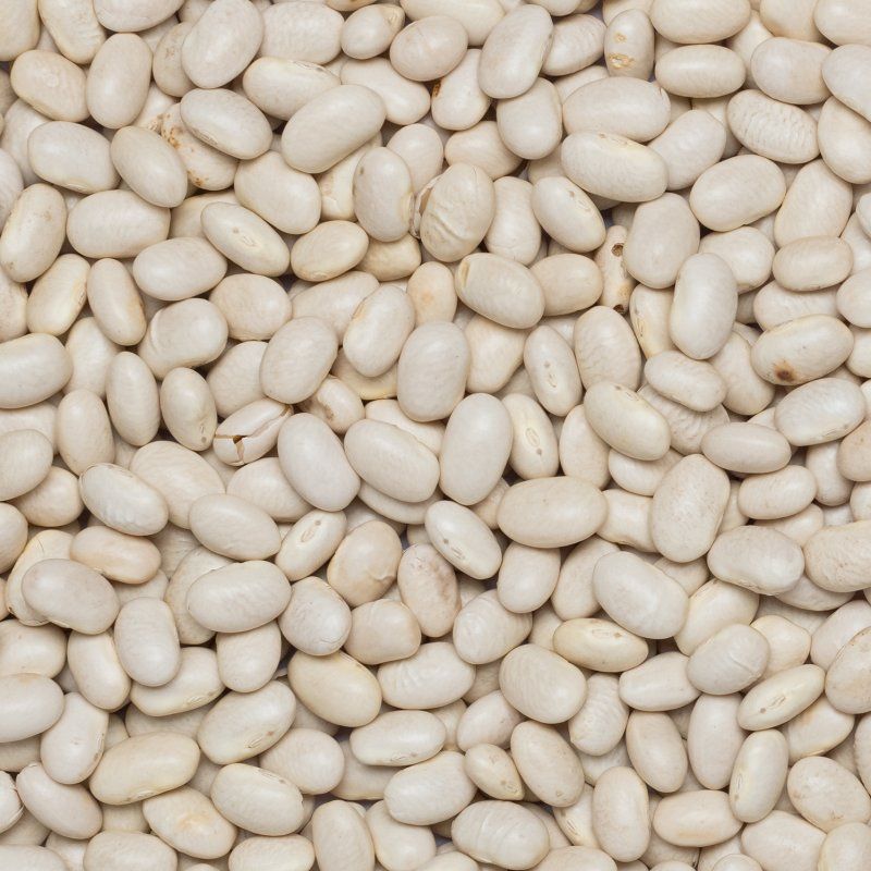 Haricots blancs petit BIO 25kg