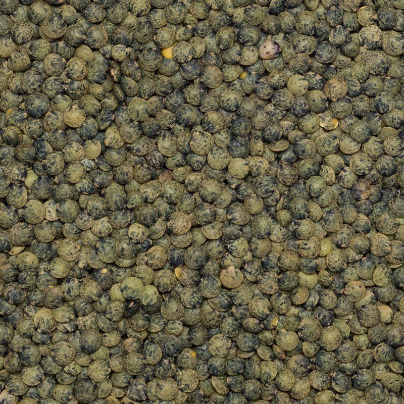 Lentilles vertes BIO 25kg