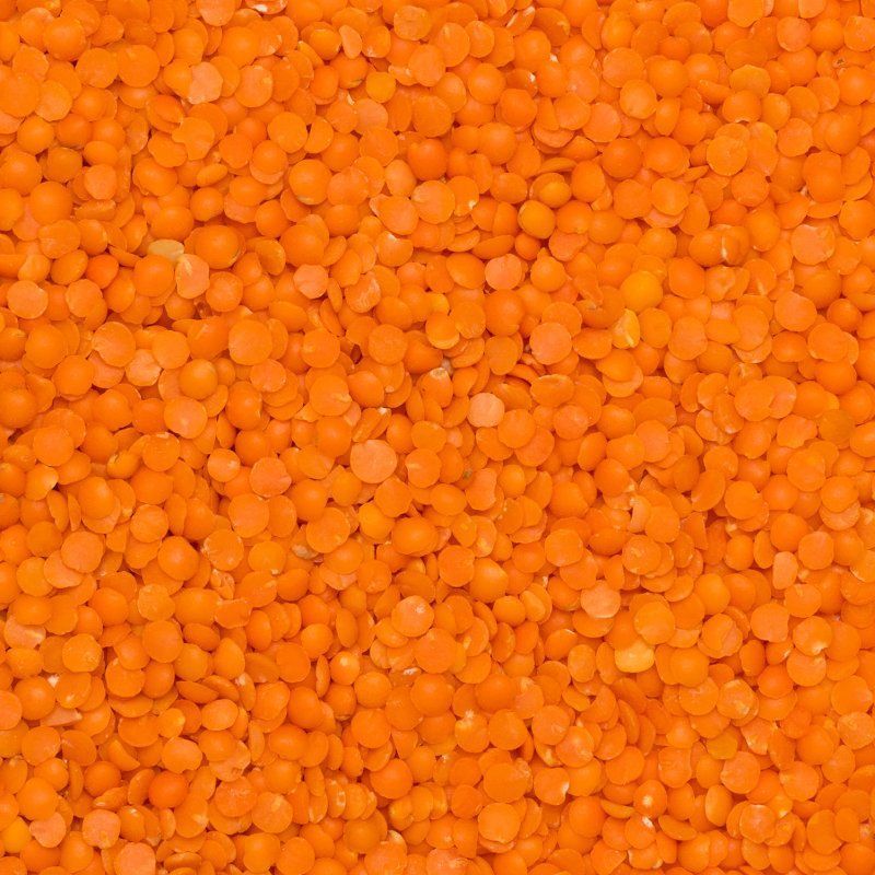 Lentilles corail BIO 25kg
