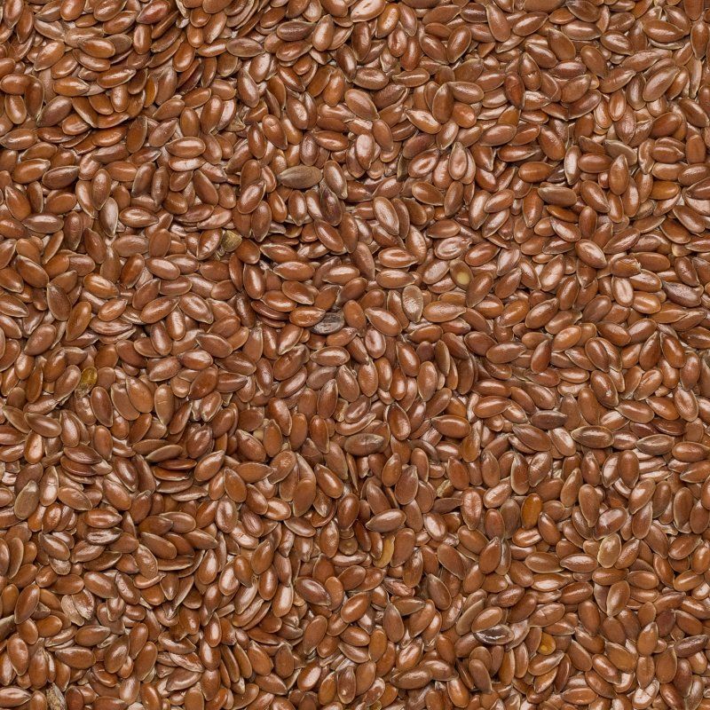 Graines de lin brun BIO 25kg