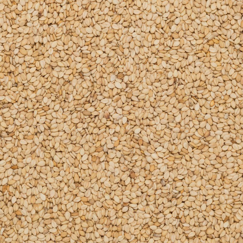 Sésame blond complet BIO 25kg