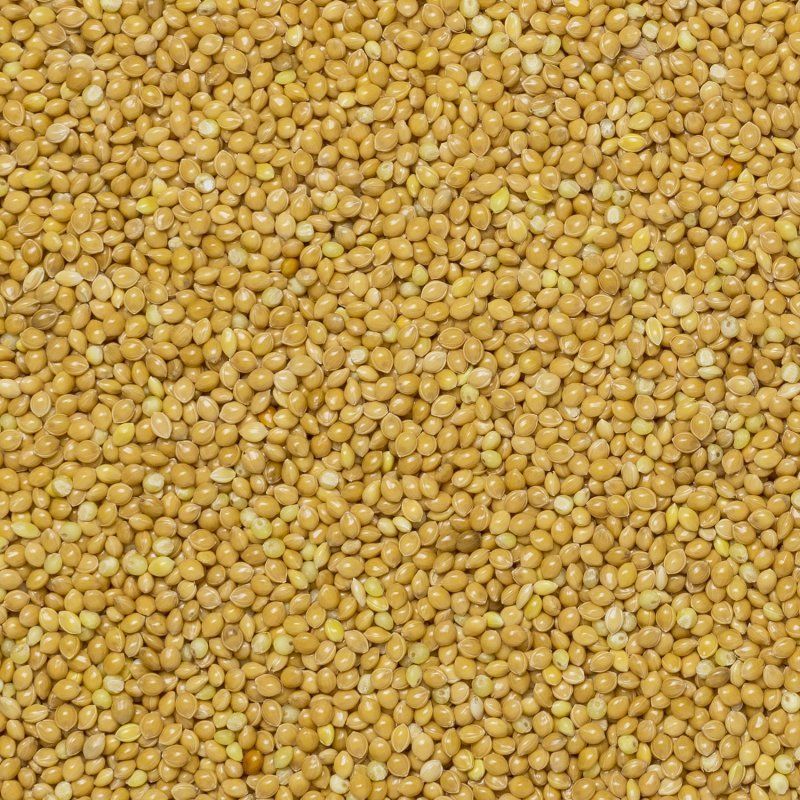 Millet décortiqué BIO 25kg