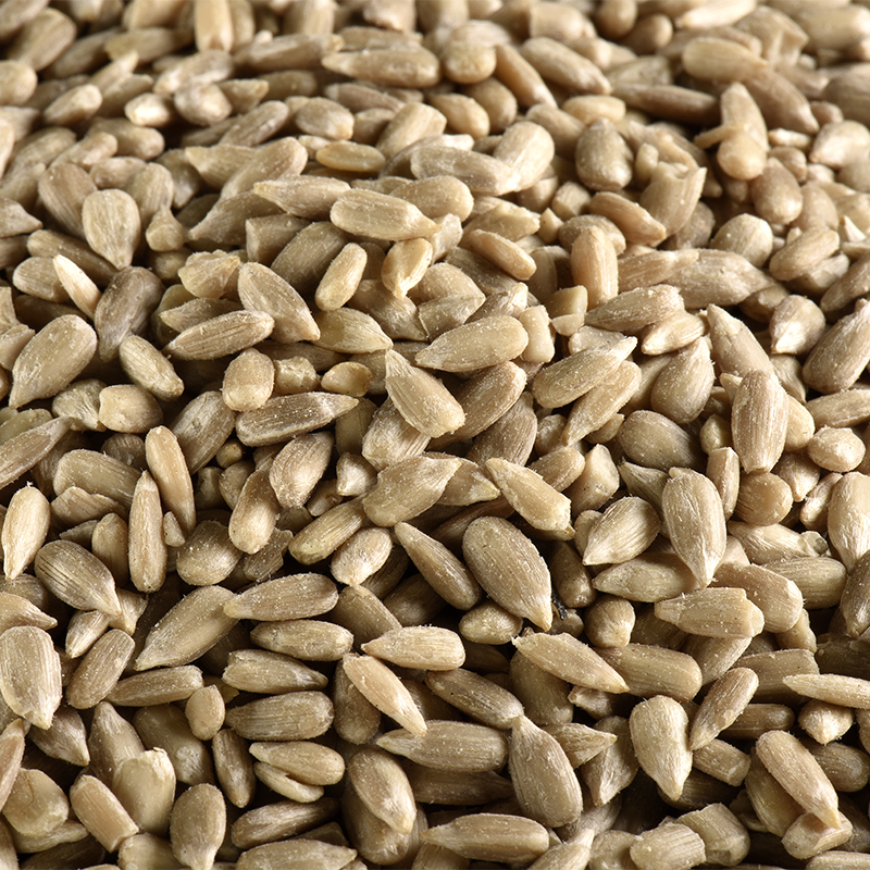Graines de tournesol BIO 5 kg