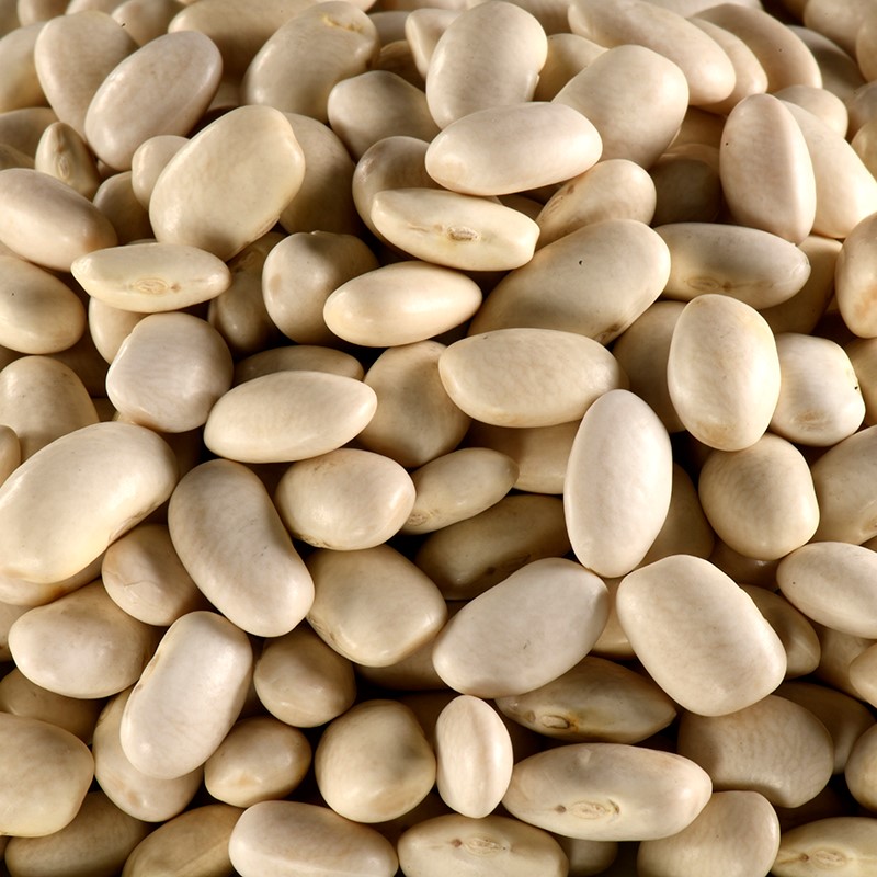 Haricots blancs BIO 5 kg