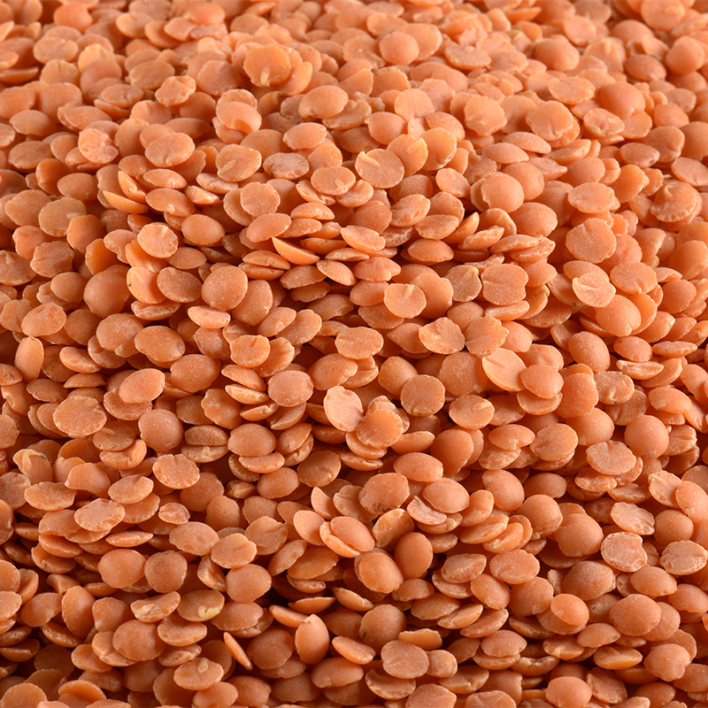Lentilles corail BIO 5 kg