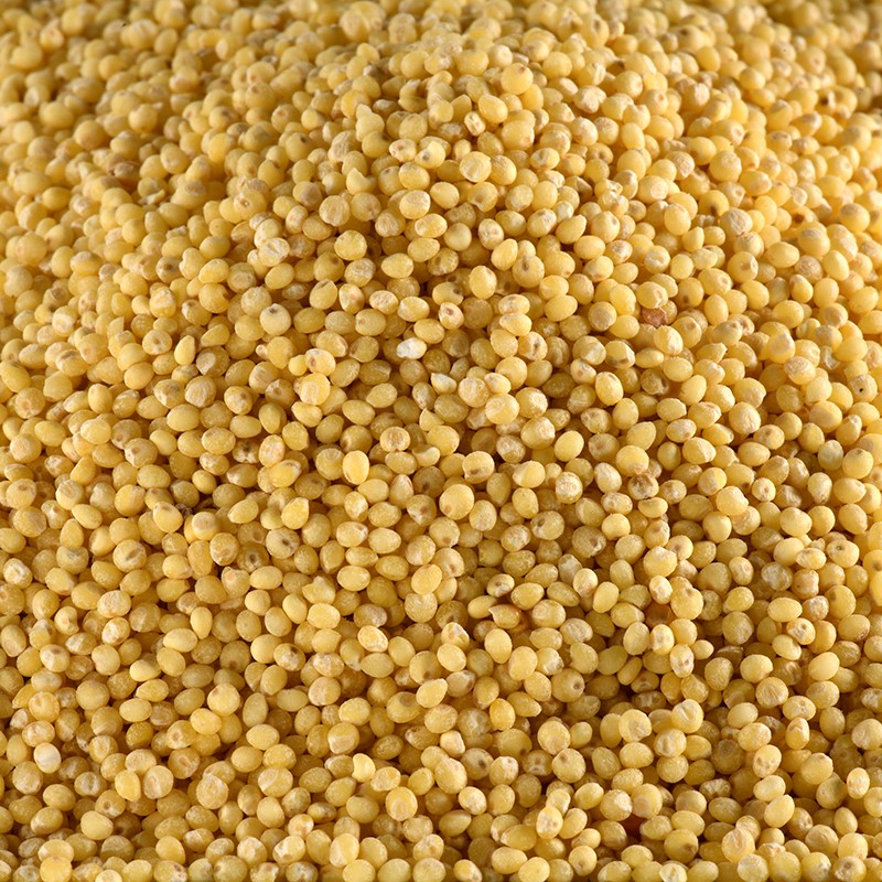 Millet BIO 5 kg