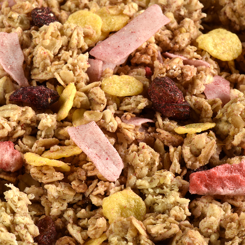 Muesli croustillant fruits et noix de coco BIO 4 kg