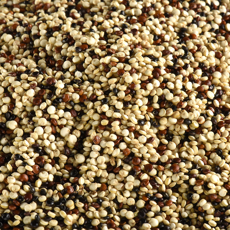 Quinoa tricolore BIO 5 kg