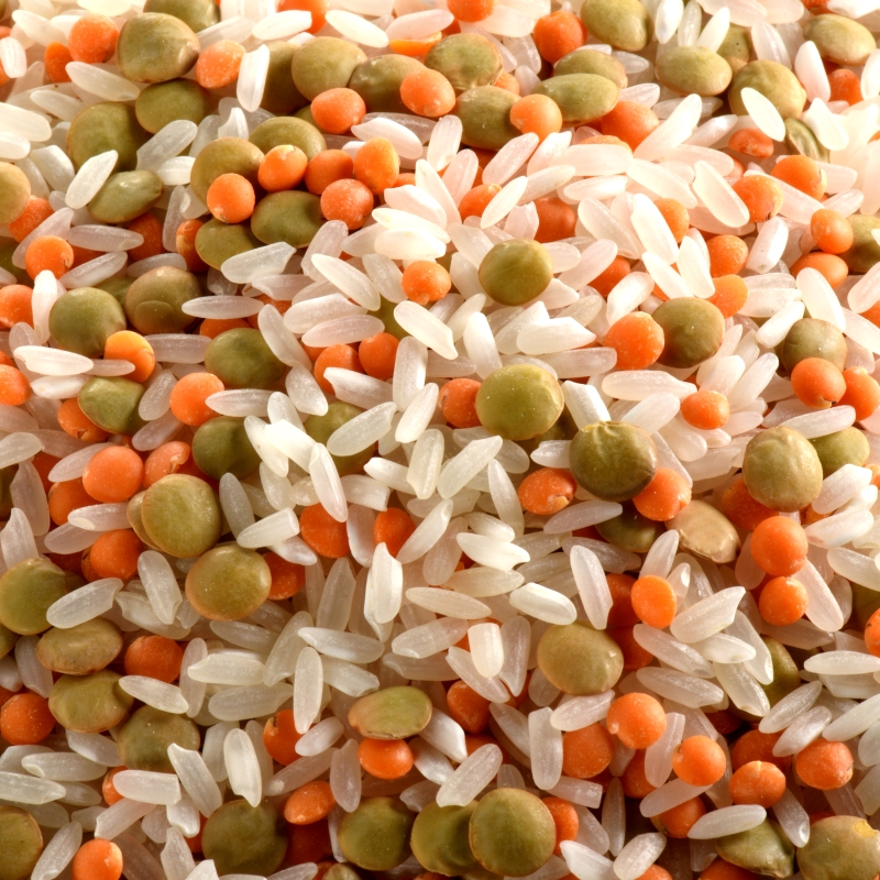 Riz gourmand mélange BIO 5 kg