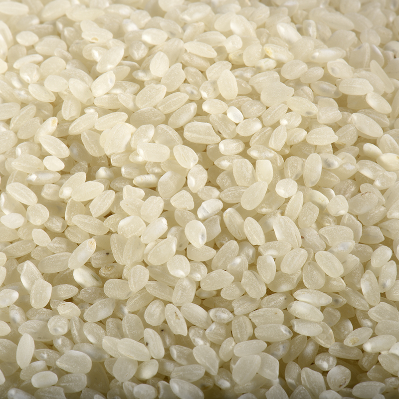 Riz rond blanc BIO 5 kg