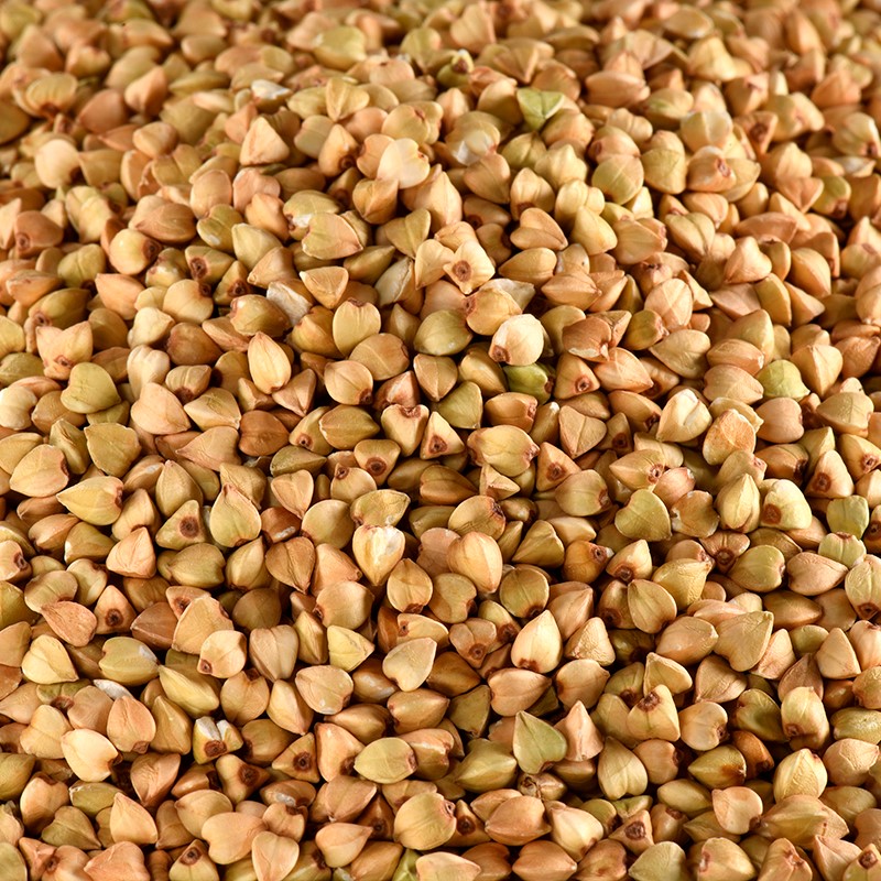Sarrasin BIO 5 kg