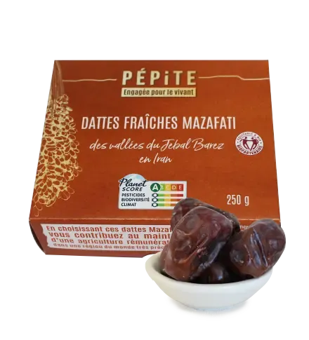 [AS000566] Dattes Iran - Mazafati BIO 24 x 250g