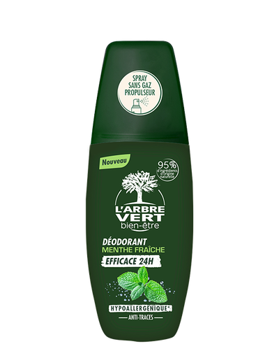 [AV29994] Déodorant spray Menthe fraîche 12 x 75 ml