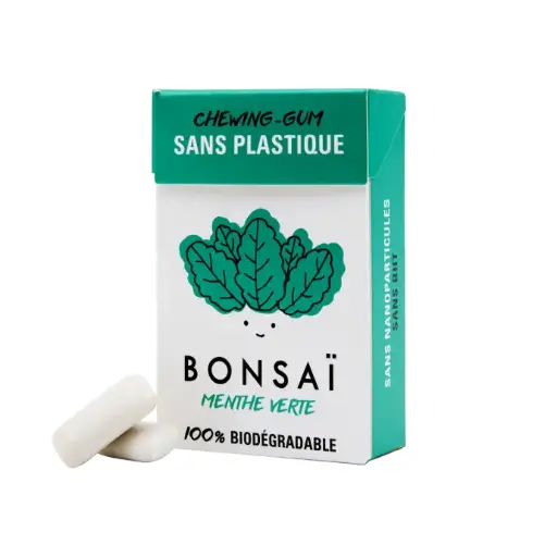 [BONSA4011] Gomme menthe Verte 20 x 21 gr