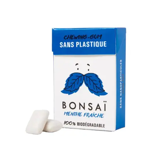 [BONSA4158] Gomme menthe forte 20 x 21 gr