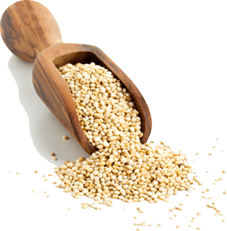 [CE45002] Quinoa BIO 3kg