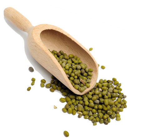 [CE45004] Lentilles vertes BIO 3kg 