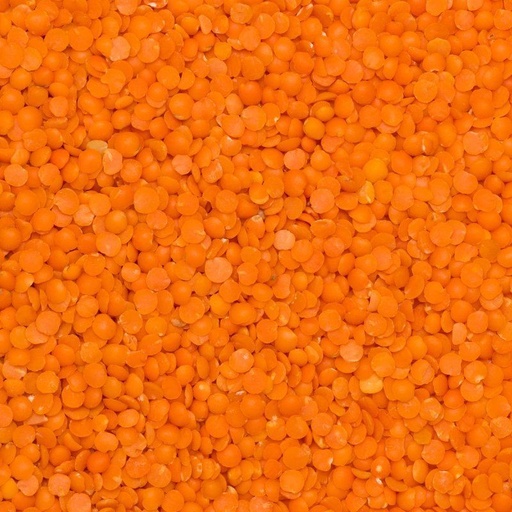 [DO4842005] Lentilles corail BIO 25kg