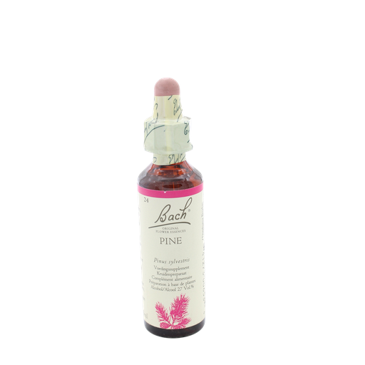 [FB3428] Fleur de Bach 24 PINE