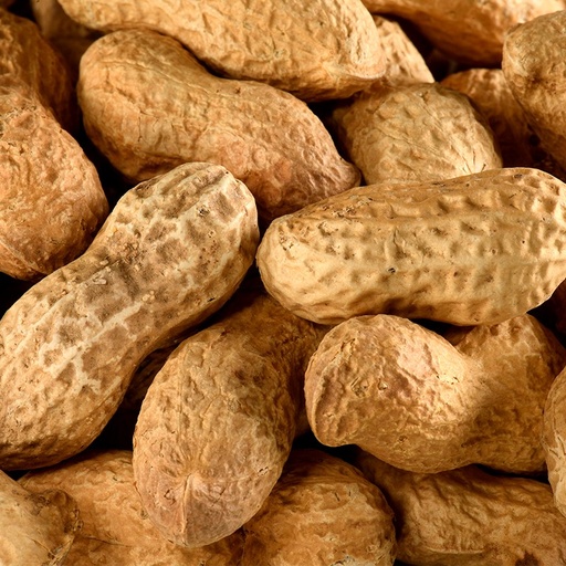 [LJCACAHUCOQU] Cacahuètes coques BIO 2 kg