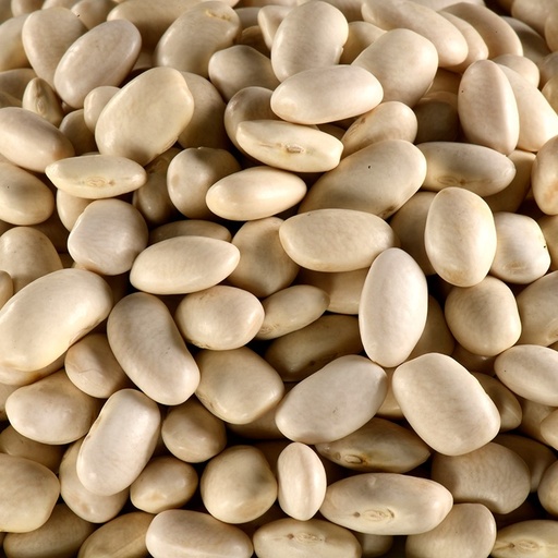 [LJHARICBLANC] Haricots blancs BIO 5 kg