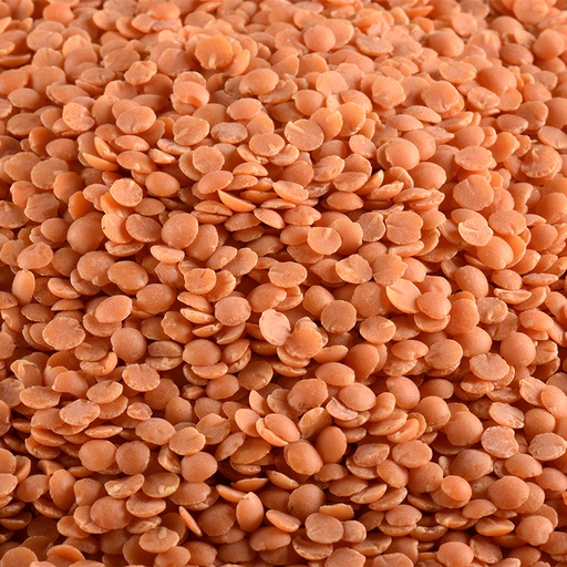 [LJLENTILCORA] Lentilles corail BIO 5 kg