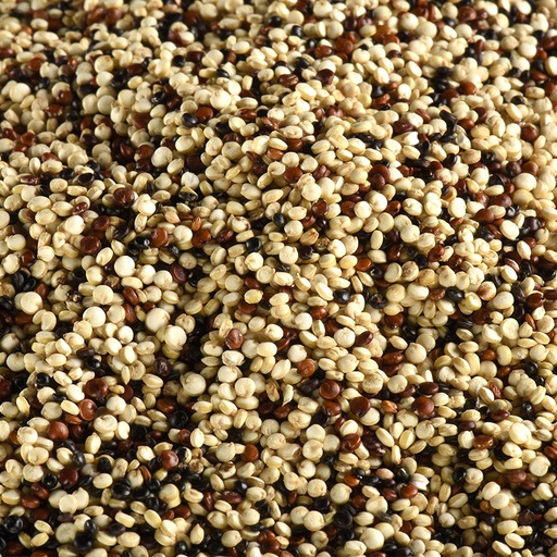 [LJQUINOATRIC] Quinoa tricolore BIO 5 kg